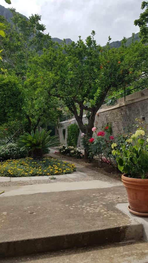 Casa Anna Villa Positano Eksteriør bilde